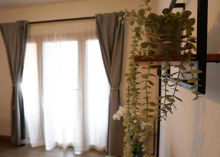 Bit Apartamento Costa De Antigua