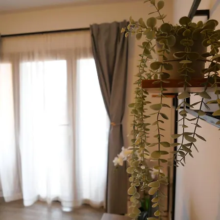 Bit Appartement Costa De Antigua