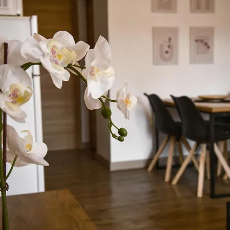 Apartament Bit