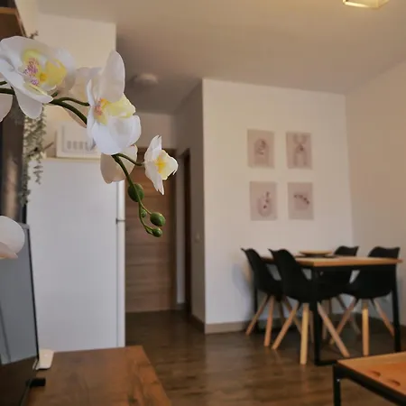Apartament Bit